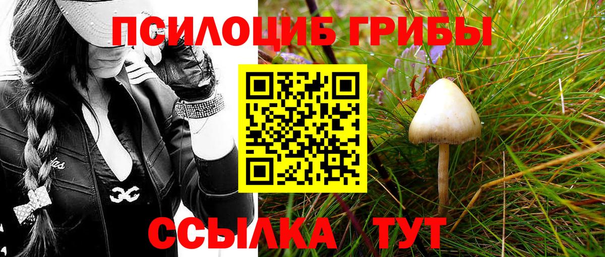 Псилоцибиновые грибы мухоморы  Вход с VPN  Саянск 
